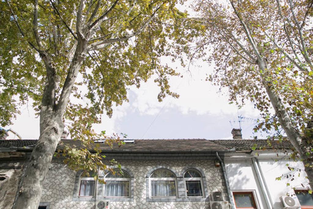 Kona Apartment Belgrad Exteriör bild